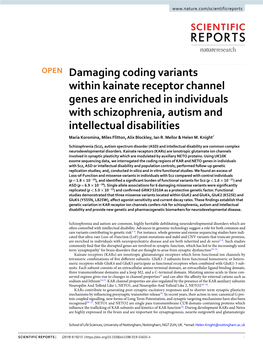 Damaging Coding Variants Within Kainate Receptor Channel Genes Are Enriched in Individuals with Schizophrenia, Autism and Intell