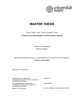 Master Thesis