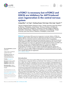 Mtorc1 Is Necessary but Mtorc2 and Gsk3b Are Inhibitory for AKT3