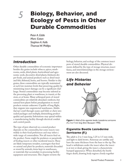5 Biology, Behavior, and Ecology of Pests in Other Durable Commodities