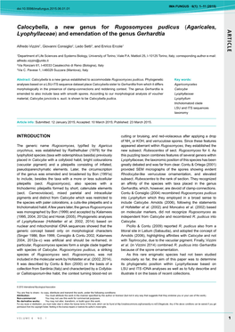 AR TICLE Calocybella, a New Genus for Rugosomyces