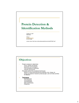 Protein Detection & Identification Methods