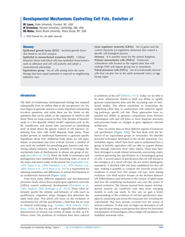 Developmental Mechanisms Controlling Cell Fate, Evolution Of