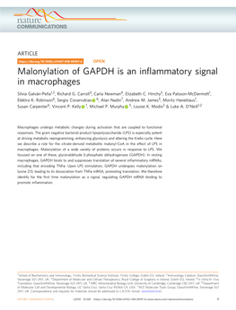 Malonylation of GAPDH Is an Inflammatory Signal in Macrophages