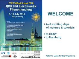 Particle Physics at Desy Hera Belle / Belle Ii Ilc Cta Theory