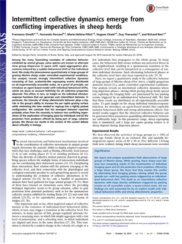 Intermittent Collective Dynamics Emerge from Conflicting Imperatives in Sheep Herds