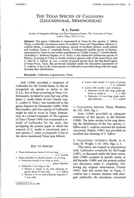 The Texas Species of Calliandra (Leguminosae, Mimosoideae)