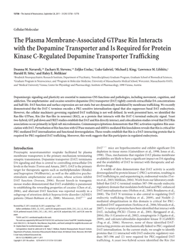 The Plasma Membrane-Associated Gtpase Rin Interacts with the Dopamine Transporter and Is Required for Protein Kinase C-Regulated Dopamine Transporter Trafficking