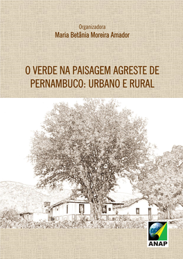 O Verde Na Paisagem Agreste De Pernambuco: Urbano E Rural