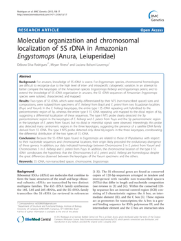 Molecular Organization and Chromosomal
