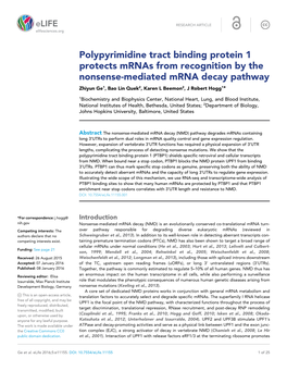 Polypyrimidine Tract Binding Protein 1 Protects Mrnas from Recognition By