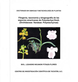 Filogenia, Taxonomía Y Biogeografía De Las Especies Americanas De Polystachya Hook