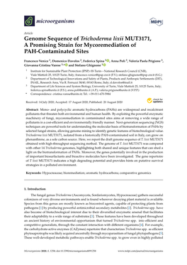 Genome Sequence of Trichoderma Lixii MUT3171, a Promising Strain for Mycoremediation of PAH-Contaminated Sites