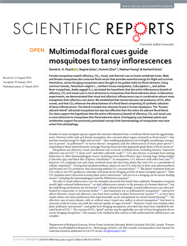 Multimodal Floral Cues Guide Mosquitoes to Tansy Inflorescences