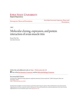 Molecular Cloning, Expression, and Protein Interaction of Avian Muscle Titin Kuan Onn Tan Iowa State University