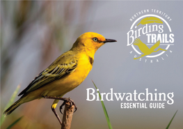 Birdwatching ESSENTIAL GUIDE Birding Northern Territory IMAGINE the SCENE…