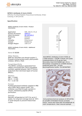 WFDC1 Antibody (C-Term H163) Affinity Purified Rabbit Polyclonal Antibody (Pab) Catalog # Ap12472b