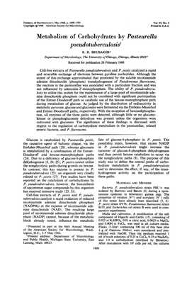 Metabolism of Carbohydrates by Pasteurella Pseudotuberculosis' R