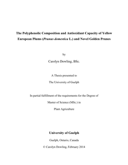 The Polyphenolic Composition and Antioxidant Capacity of Yellow European Plums (Prunus Domestica L.) and Novel Golden Prunes