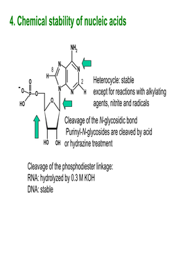 4. Chemical Stability of Nucleic Acids