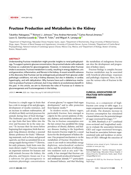 Fructose Production and Metabolism in the Kidney