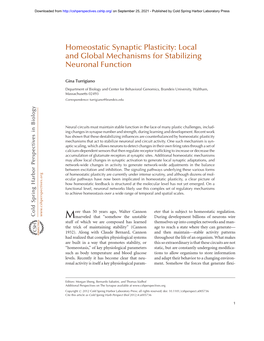 Homeostatic Synaptic Plasticity: Local and Global Mechanisms for Stabilizing Neuronal Function