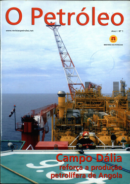 Angola E Guiné-Equatorial, Cooperaqao Nos Petróleos