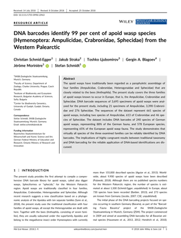 DNA Barcodes Identify 99 Per Cent of Apoid Wasp Species (Hymenoptera: Ampulicidae, Crabronidae, Sphecidae) from the Western Palearctic