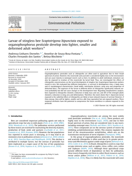 Larvae of Stingless Bee Scaptotrigona Bipunctata Exposed to Organophosphorus Pesticide Develop Into Lighter, Smaller and Deformed Adult Workers*