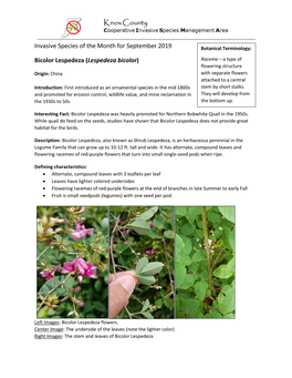 Invasive Species of the Month for September 2019 Bicolor Lespedeza