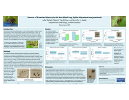 085Â•Fl Success of Batesian Mimicry in the Ant-Mimicking Spider