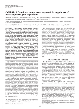 A Functional Corepressor Required for Regulation of Neural-Specific Gene Expression