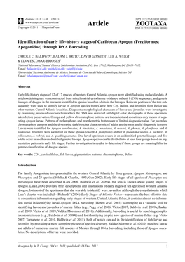 Identification of Early Life-History Stages of Caribbean Apogon (Perciformes: Apogonidae) Through DNA Barcoding