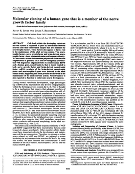 Growth Factor Family (Brain-Derived Neurotrophic Factor/Polymerase Chain Reaction/Neurotrophic Factor/Mrna) KEVIN R