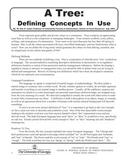 A Tree: Defining Concepts in Use by Dr