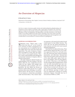 An Overview of Alopecias