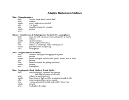 Adaptive Radiation in Molluscs