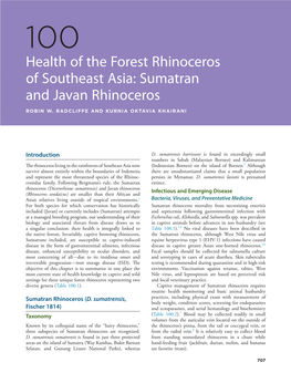 Sumatran and Javan Rhinoceros