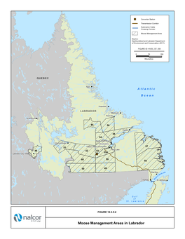 Moose Management Areas in Labrador !