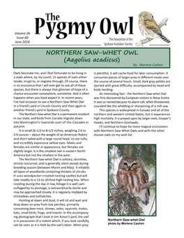 NORTHERN SAW-WHET OWL (Aegolius Acadicus) By: Marlene Cashen