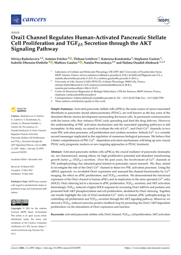 Orai1 Channel Regulates Human-Activated Pancreatic Stellate Cell Proliferation and Tgfβ1 Secretion Through the AKT Signaling Pathway