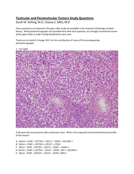 Testicular and Paratesticular Tumors Study Questions Sarah M