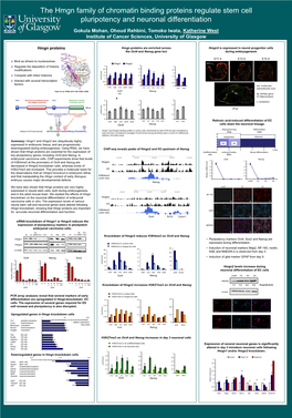 The Hmgn Family of Chromatin Binding Proteins Regulate Stem Cell Pluripotency and Neuronal Differentiation