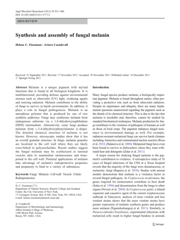 Synthesis and Assembly of Fungal Melanin