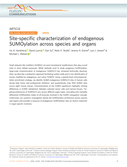 Site-Specific Characterization of Endogenous Sumoylation Across