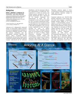 Cell Science at a Glance