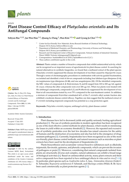 Plant Disease Control Efficacy of Platycladus Orientalis and Its