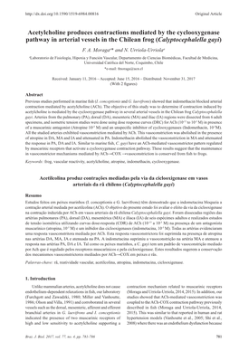 Acetylcholine Produces Contractions Mediated by the Cyclooxygenase Pathway in Arterial Vessels in the Chilean Frog (Calyptocephalella Gayi) F