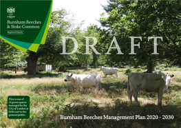 Burnham Beeches Management Plan 2020 - 2030 DRAFT