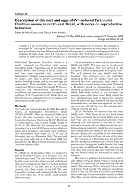 Description of the Nest and Eggs of White-Lored Tyrannulet Ornithion